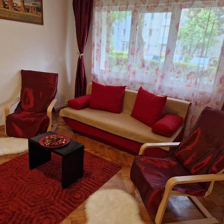 Petuniei Apartment ブラショフ エクステリア 写真