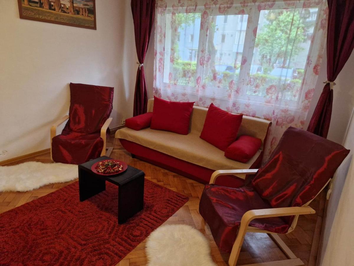 Petuniei Apartment ブラショフ エクステリア 写真