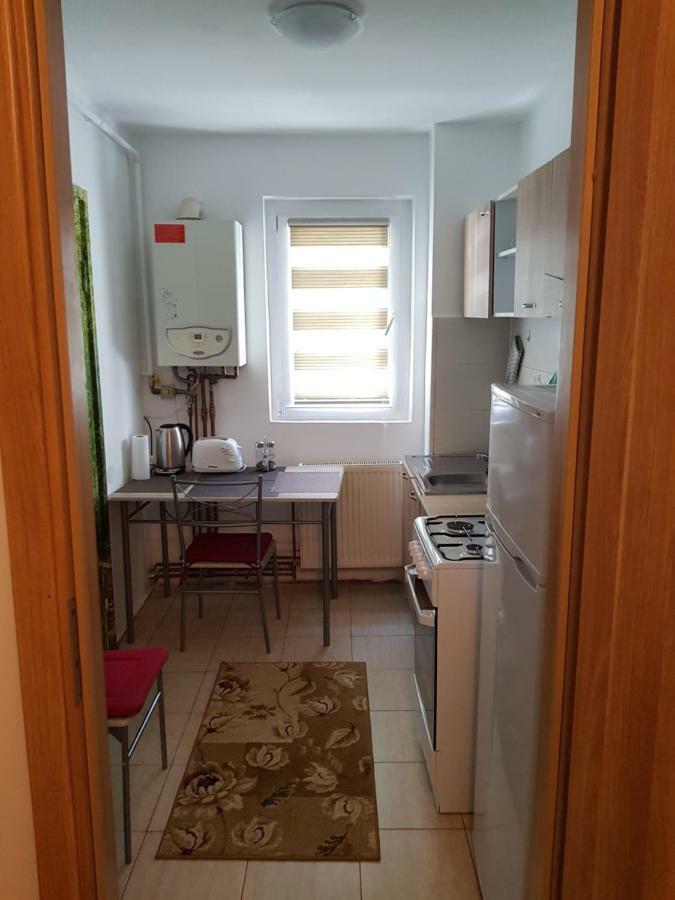 Petuniei Apartment ブラショフ エクステリア 写真