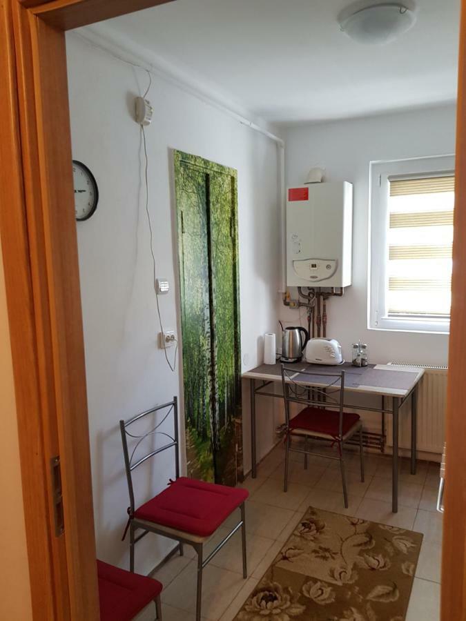 Petuniei Apartment ブラショフ エクステリア 写真