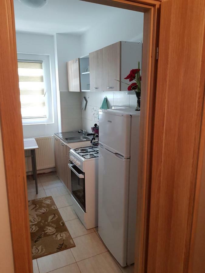 Petuniei Apartment ブラショフ エクステリア 写真